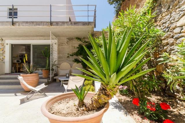 Crete Retreat - Nature & Comfort Await Ierapetra  Ngoại thất bức ảnh